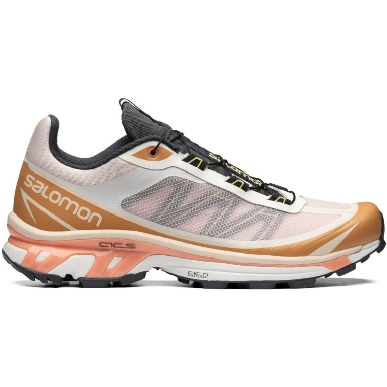 Tenis Salomon Xt-6 Ft Feminino Multicoloridas | PT V75086